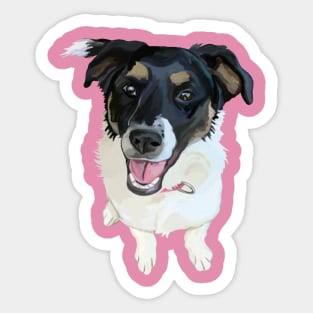 Cute Canine Border Collie Mix Sticker